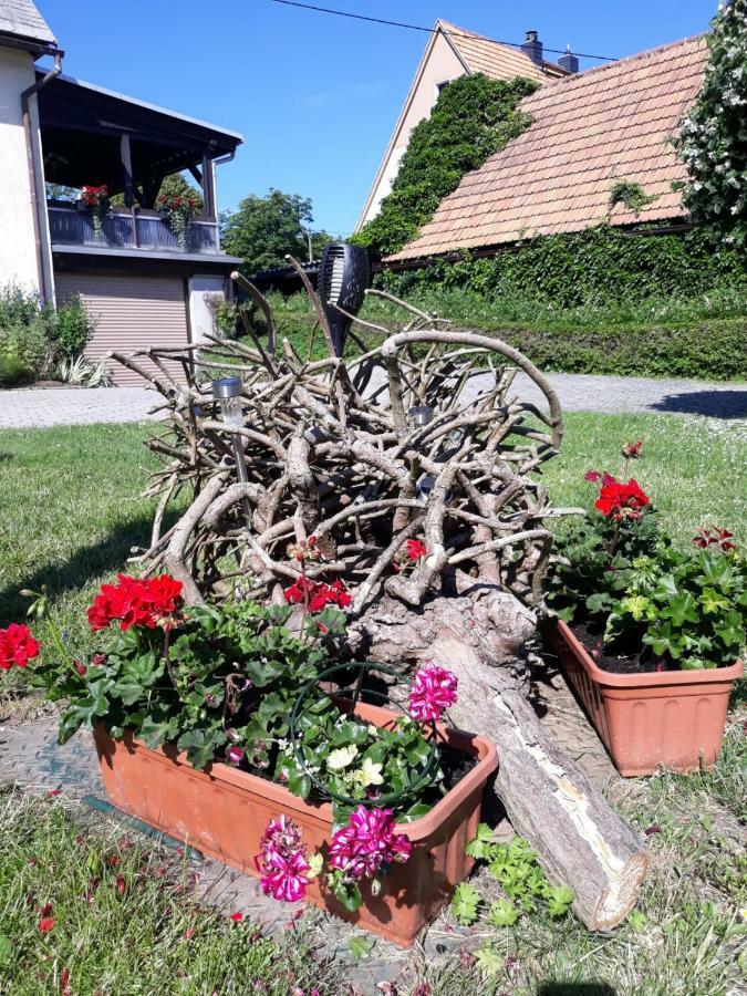 Fewo Hoyer Apartment Hinterhermsdorf Exterior photo